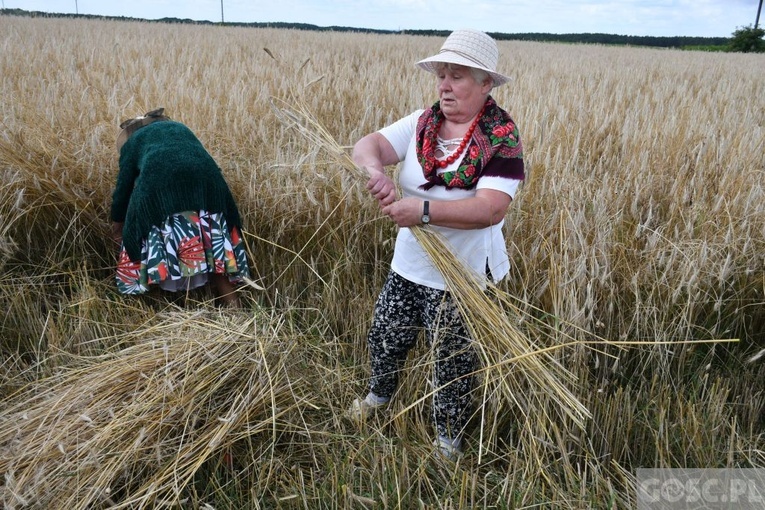 Białków. "Jak to z chlebem było?"