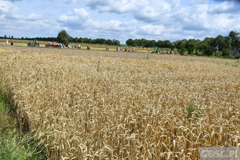 Białków. "Jak to z chlebem było?"