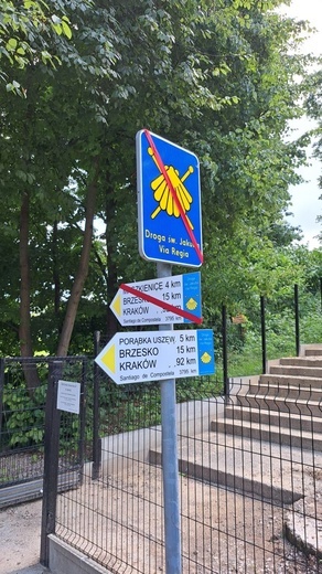 Z Dębna przez Szczepanów do Brzeska