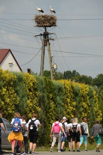 Z Dębna przez Szczepanów do Brzeska