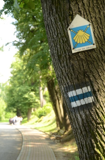 Z Dębna przez Szczepanów do Brzeska