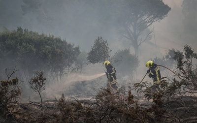 Portugalia: Ewakuacja ludności i zwierząt pod Lizboną z powodu pożaru lasów i łąk