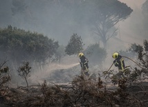 Portugalia: Ewakuacja ludności i zwierząt pod Lizboną z powodu pożaru lasów i łąk