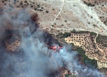 Grecja: Strażacy wciąż walczą z pożarami na Rodos, Korfu i Eubei