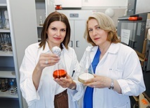 Prof. Anna Matuszewska i prof. Magdalena Jaszek z Katedry Biochemii i Biotechnologii UMCS badają grzyby.