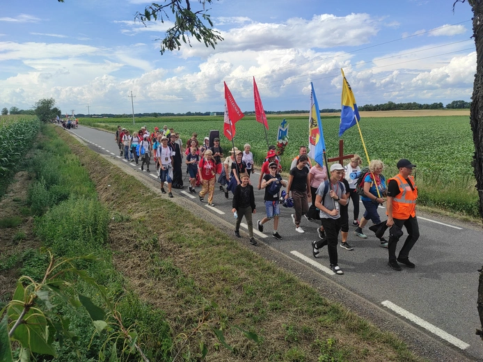 Pielgrzymka z drzewa