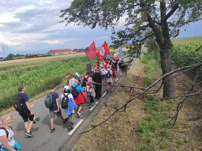 Pielgrzymka z drzewa