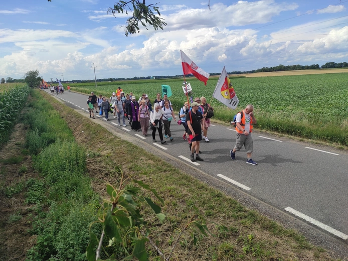 Pielgrzymka z drzewa