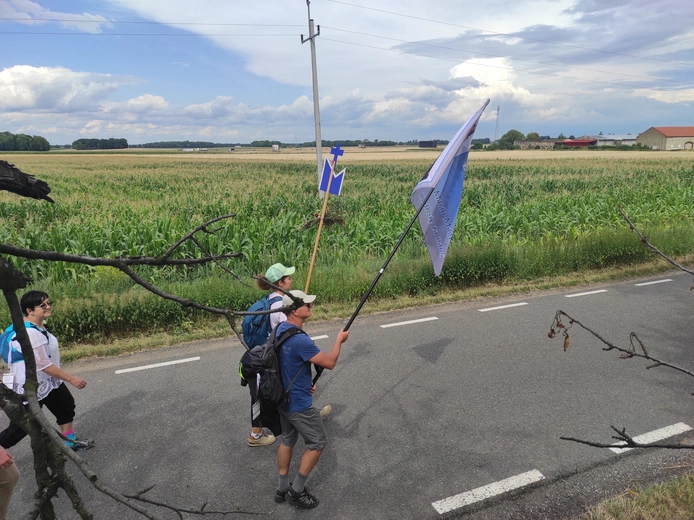 Pielgrzymka z drzewa