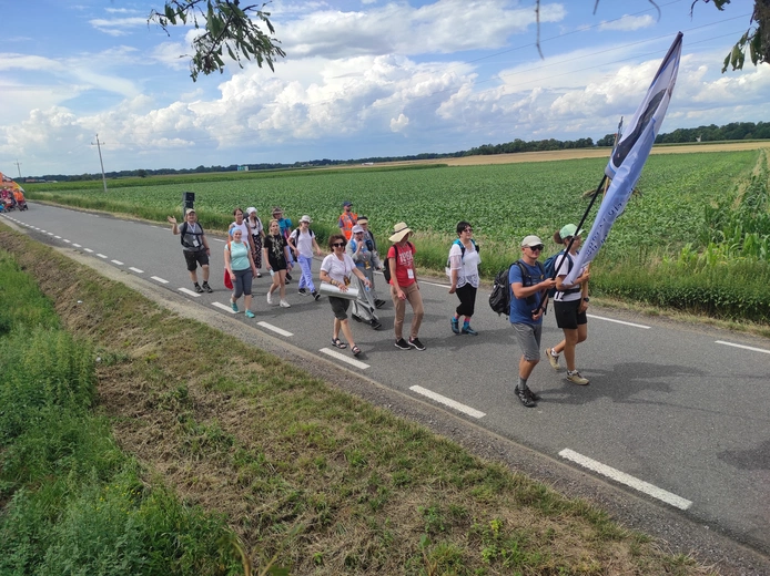 Pielgrzymka z drzewa
