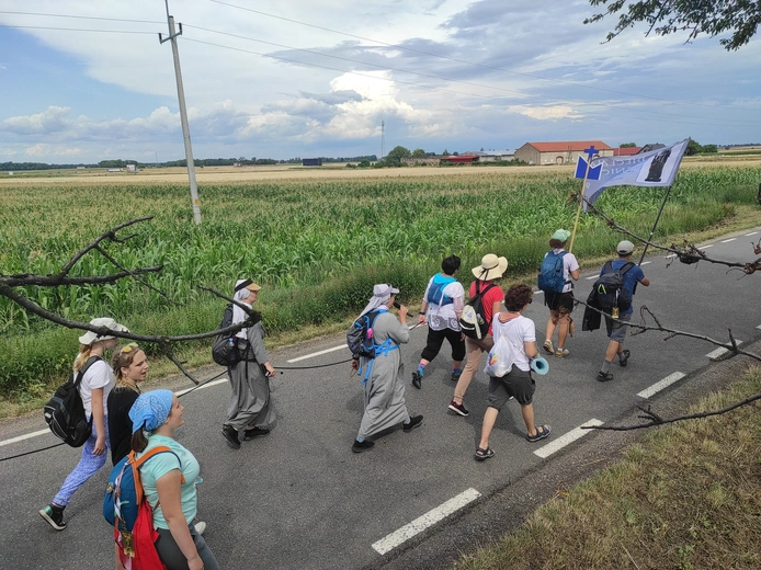 Pielgrzymka z drzewa
