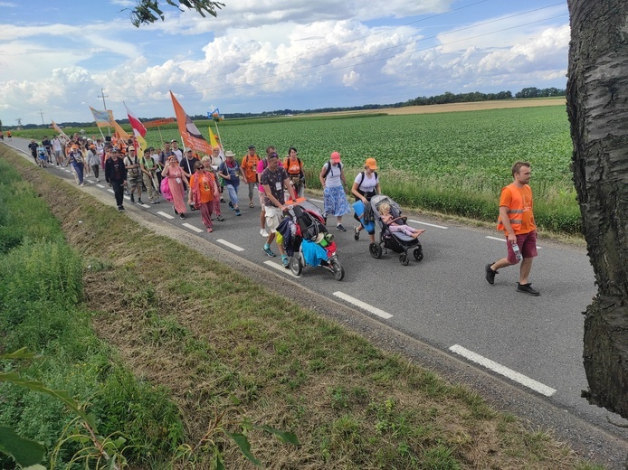 Pielgrzymka z drzewa