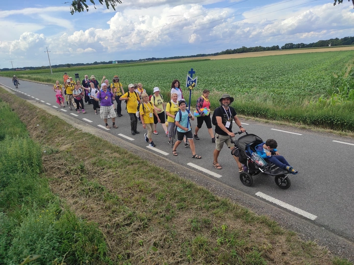 Pielgrzymka z drzewa