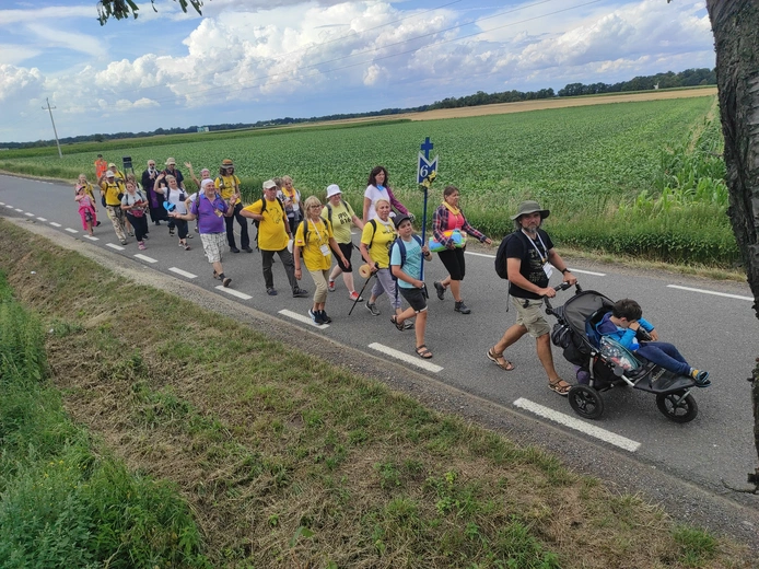 Pielgrzymka z drzewa