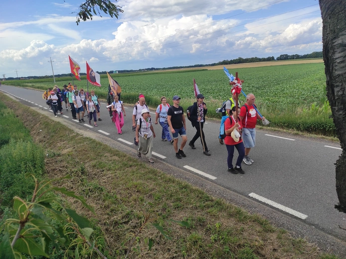Pielgrzymka z drzewa