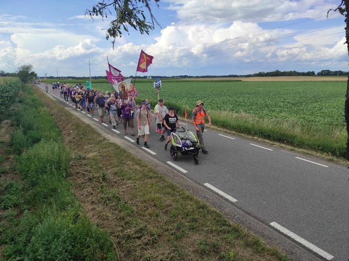 Pielgrzymka z drzewa