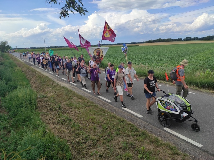 Pielgrzymka z drzewa