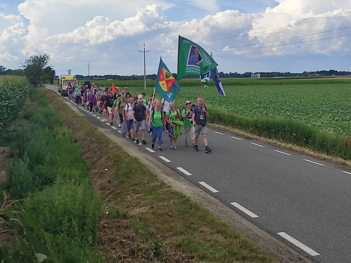 Pielgrzymka z drzewa