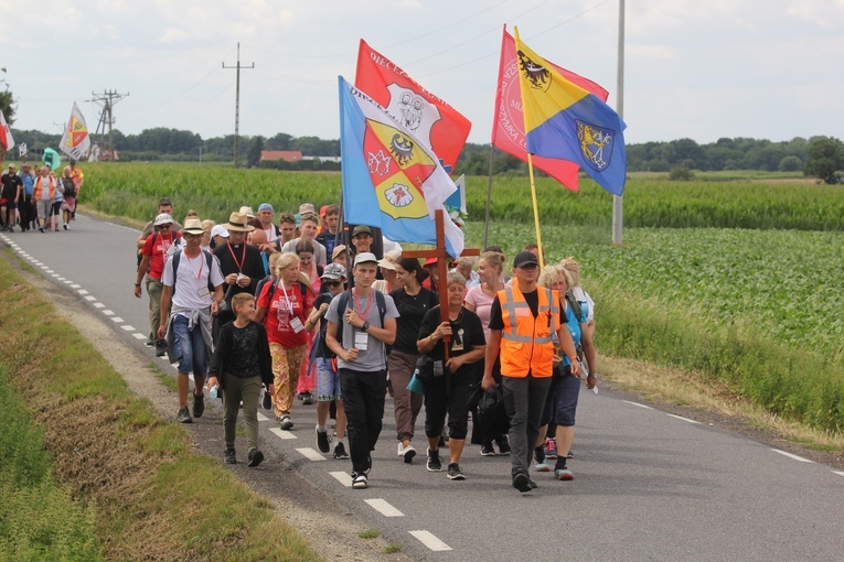 Pielgrzymka widziana z drzewa