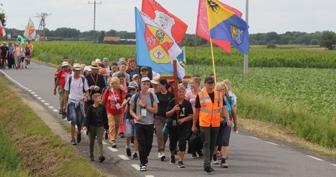 Pielgrzymka widziana z drzewa