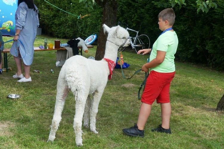 Piknik parafialny w Międzybrodziu Bialskim - 2023