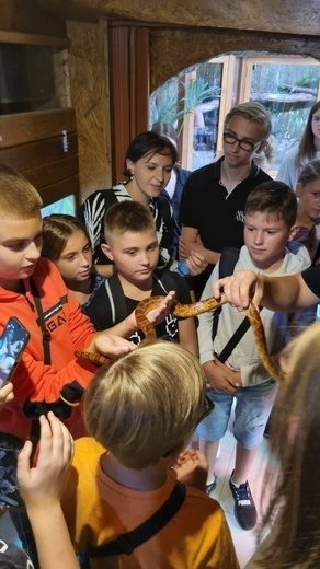 Projekt z Polonią