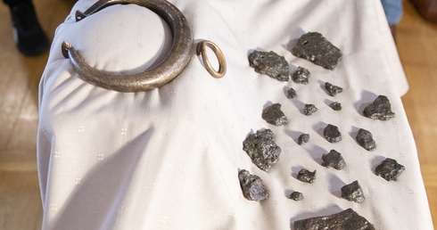 Biżuteria sprzed 3500 lat. Skarb z sidłowskiego lasu trafił do muzeum