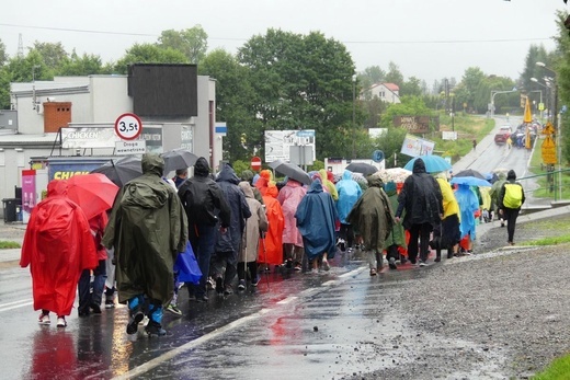 Grupa 2. - z Bielska-Białej Hałcnowa na Jasną Górę - 2023