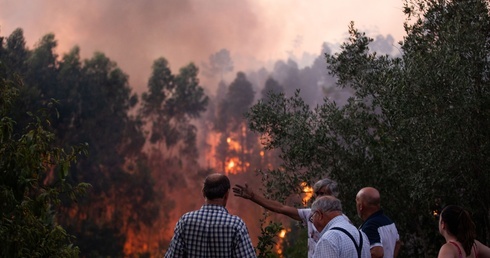 Portugalia: 20 dużych pożarów lasów i łąk wraz falą upałów