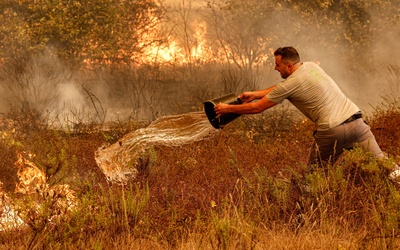 Portugalia: 22 rannych w pożarach łąk i lasów