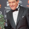 Antonio Banderas