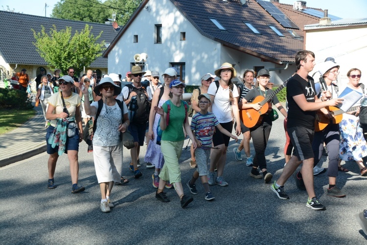 Strumień opolski w Kamieniu Śląskim