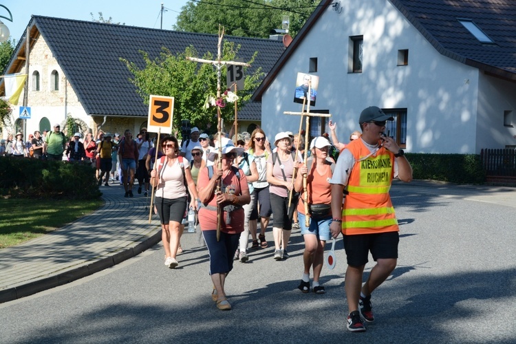 Strumień opolski w Kamieniu Śląskim