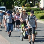 Strumień opolski w Kamieniu Śląskim