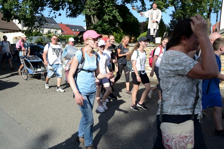 Strumień opolski w Kamieniu Śląskim