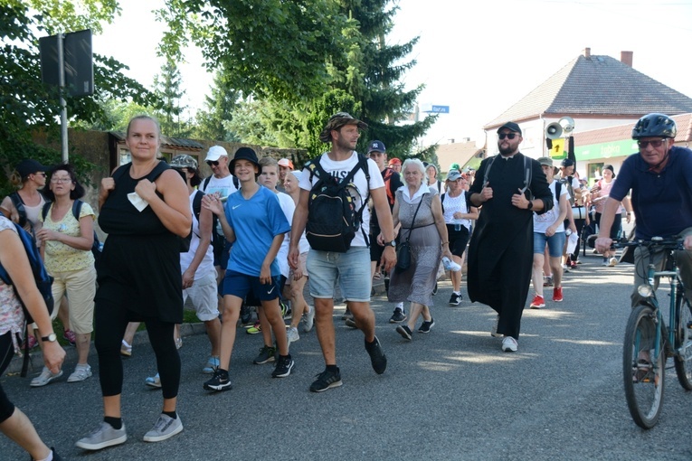 Strumień opolski w Kamieniu Śląskim