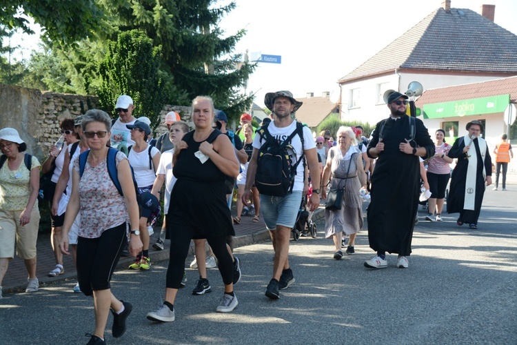 Strumień opolski w Kamieniu Śląskim