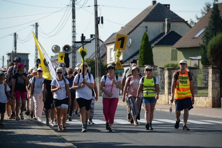 Strumień opolski w Kamieniu Śląskim