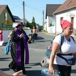 Strumień opolski w Kamieniu Śląskim