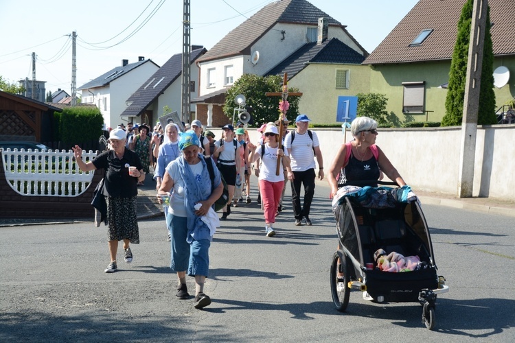 Strumień opolski w Kamieniu Śląskim