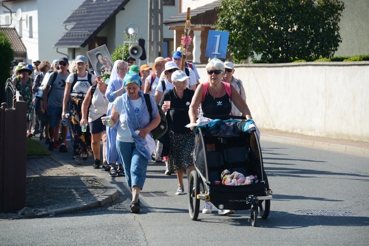 Strumień opolski w Kamieniu Śląskim