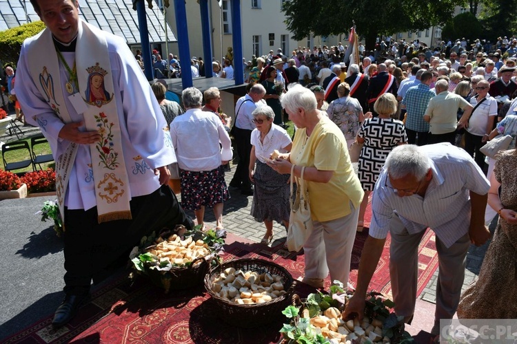 Diecezjalne dożynki w Rokitnie