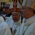 Diecezjalne dożynki w Rokitnie