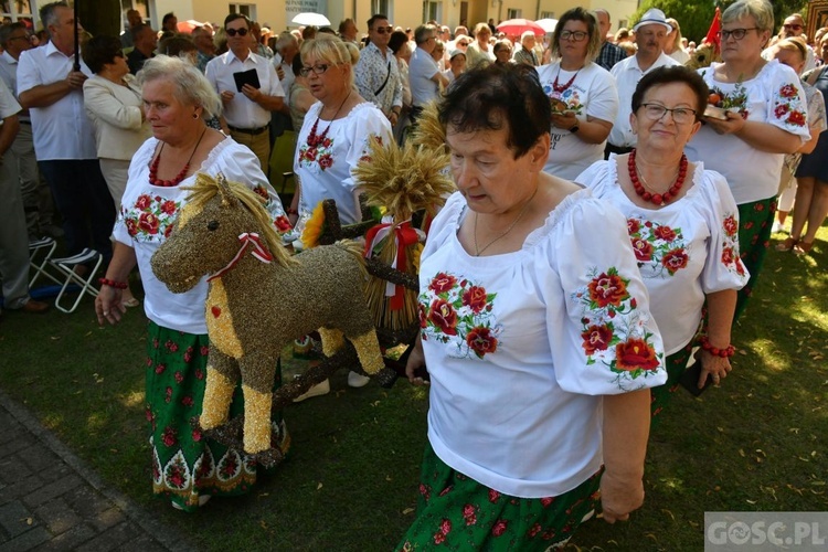 Diecezjalne dożynki w Rokitnie