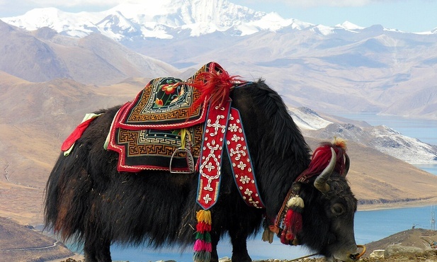 Chińscy naukowcy wzywają do porzucenia nazwy Tybet na rzecz chińskiej wersji Xizang