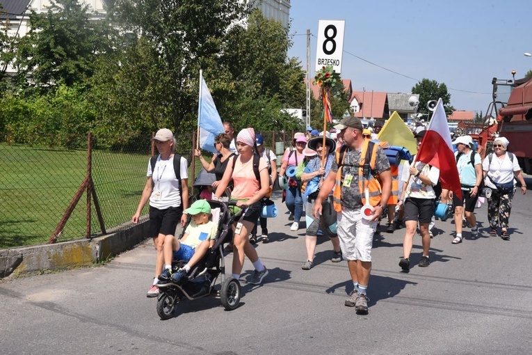 Grupa 8