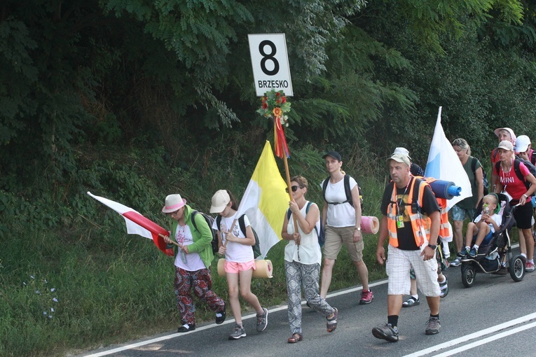 Grupa 8
