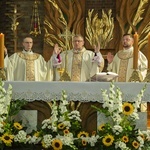 Msza św. w intencji Polonii