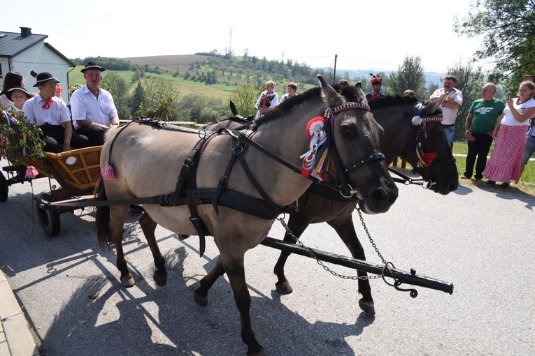 25. Wojewódzkie Dożynki w Korzennej