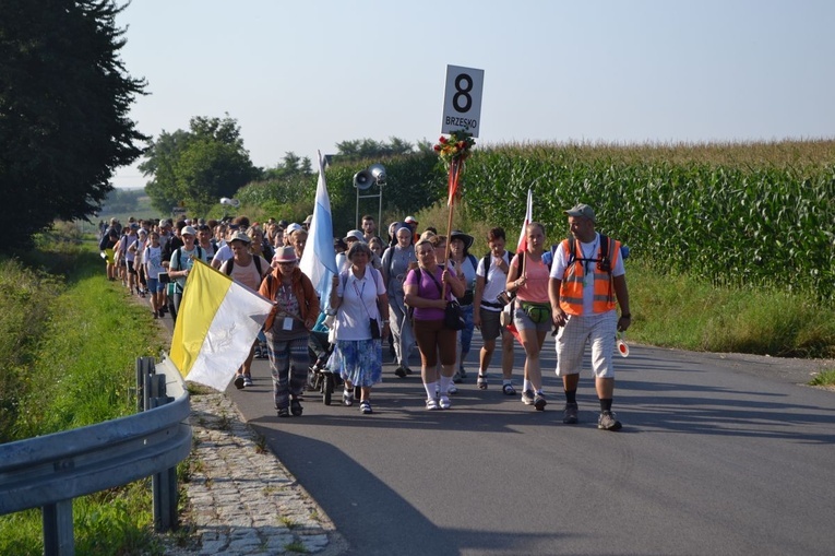 Grupa 8